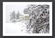 Snow - 04