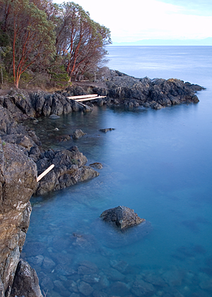 Lime Kiln State Park